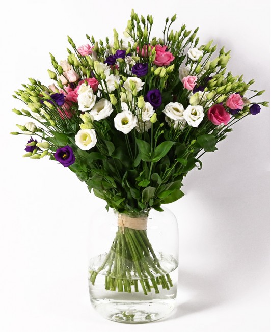 Eustomos (Įvairių spalvų)